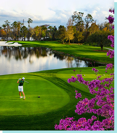 Golfer on the green